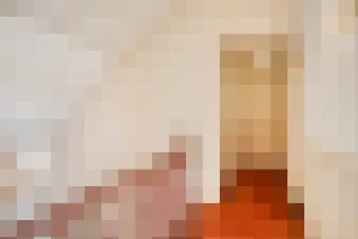 Spirealaan 6 Waalre thumbnail 19