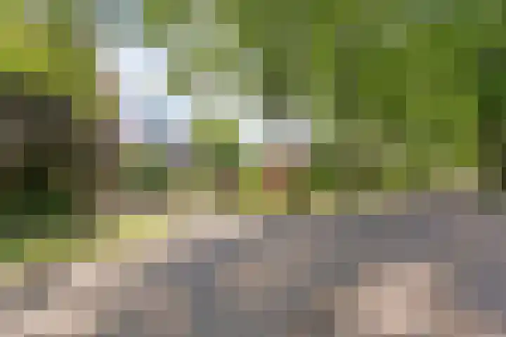 Spirealaan 6 Waalre foto 2