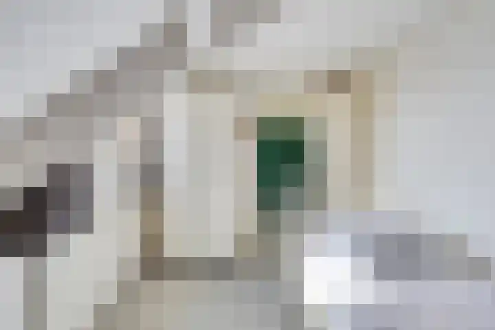 Spirealaan 6 Waalre thumbnail 21