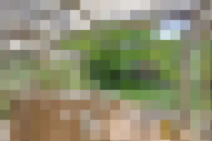 Spirealaan 6 Waalre thumbnail 25