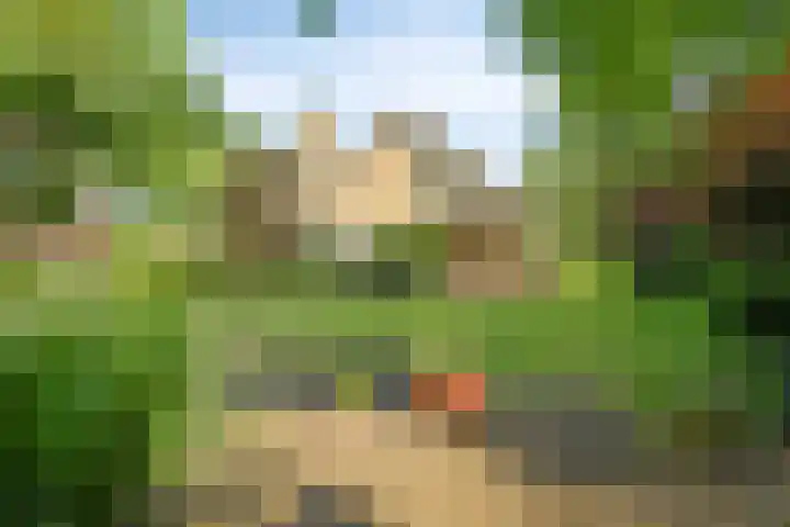 Spirealaan 6 Waalre thumbnail 27