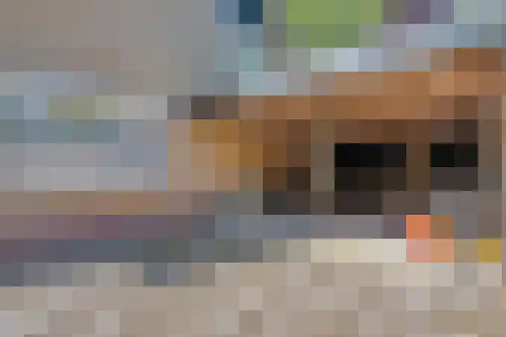 Spirealaan 6 Waalre thumbnail 28