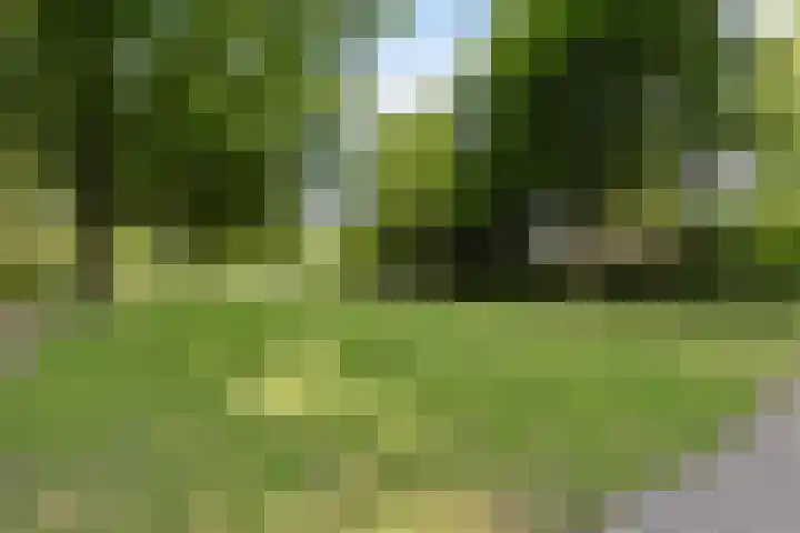 Spirealaan 6 Waalre thumbnail 29
