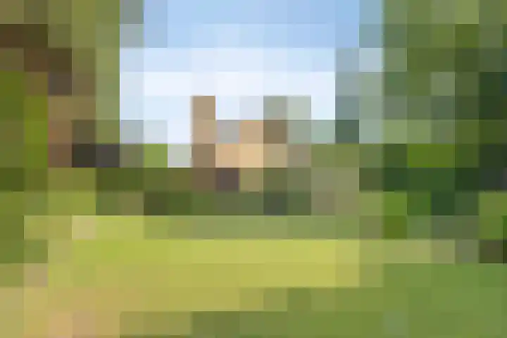 Spirealaan 6 Waalre foto 3