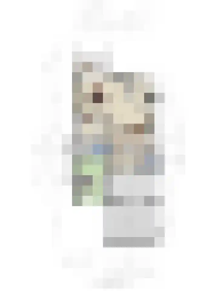 Spirealaan 6 Waalre thumbnail 30