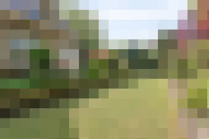 Spirealaan 6 Waalre thumbnail 4