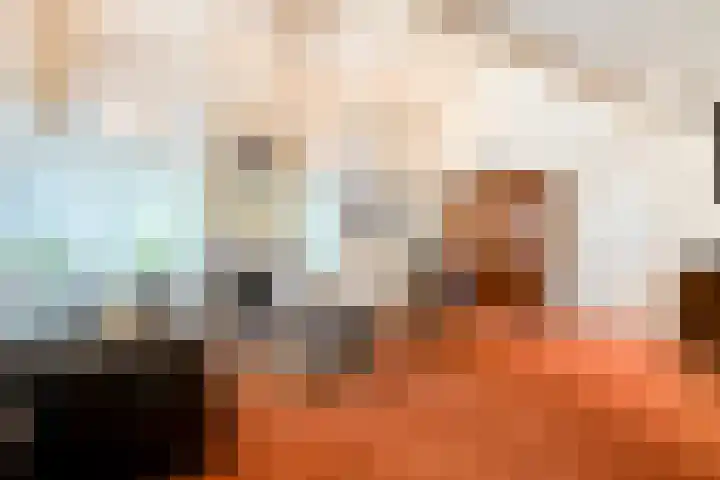 Spirealaan 6 Waalre thumbnail 8