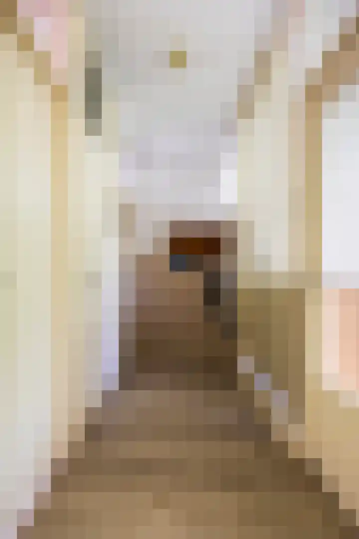 Spirealaan 64 Groningen thumbnail 13