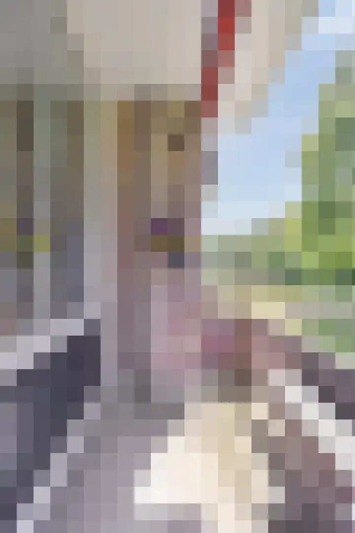Spirealaan 64 Groningen thumbnail 23