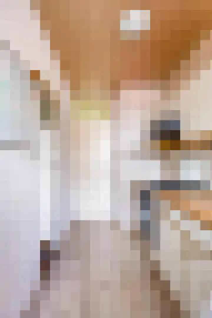 Spirealaan 64 Groningen thumbnail 27