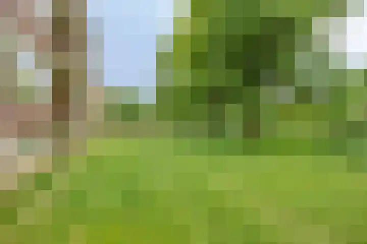 Spirealaan 64 Groningen thumbnail 47