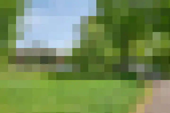 Spirealaan 64 Groningen thumbnail 49