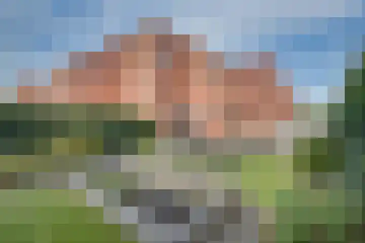 Spirealaan 65 Rosmalen