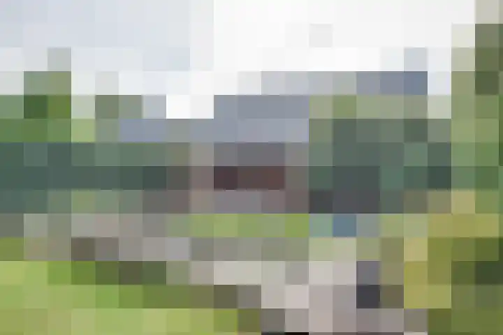 Spirealaan 65 Rosmalen thumbnail 27