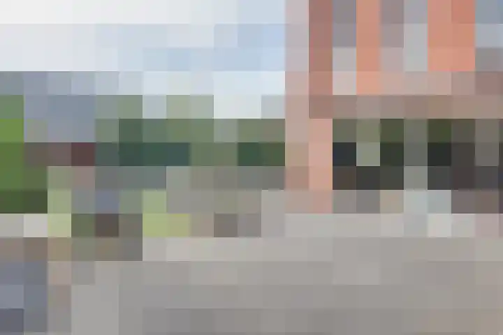 Spirealaan 65 Rosmalen thumbnail 29