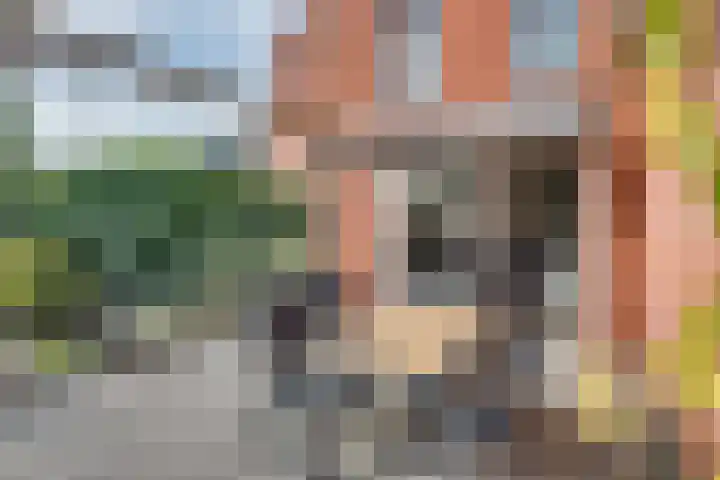 Spirealaan 65 Rosmalen thumbnail 30