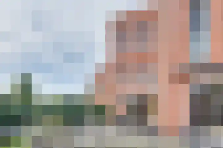 Spirealaan 65 Rosmalen thumbnail 34