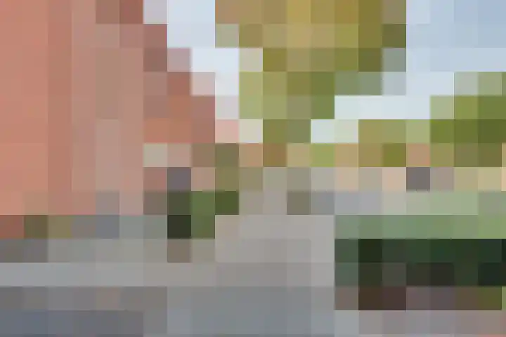 Spirealaan 65 Rosmalen thumbnail 38