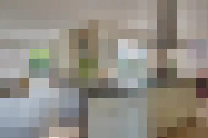 Spirealaan 65 Rosmalen thumbnail 4