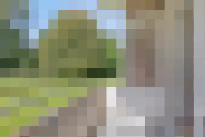 Spirealaan 76 Groningen thumbnail 24