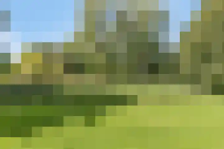 Spirealaan 76 Groningen thumbnail 31
