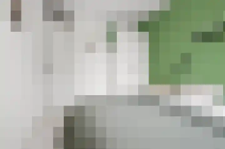 Spirealaan 8 Sint Pancras thumbnail 11