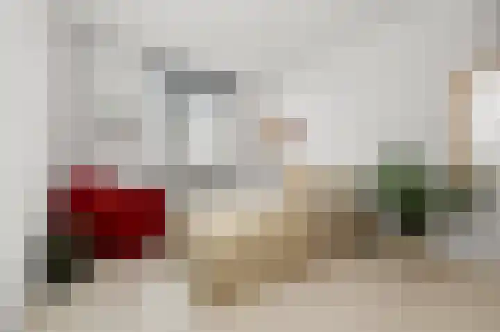 Spirealaan 8 Sint Pancras thumbnail 15