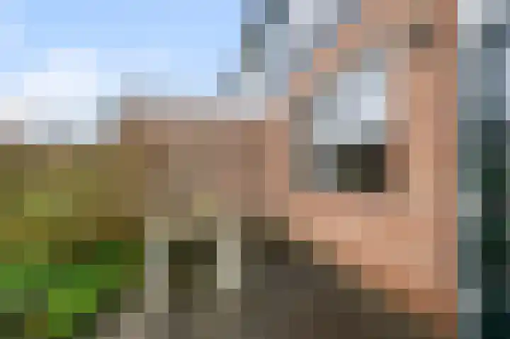 Spirealaan 8 Sint Pancras thumbnail 25