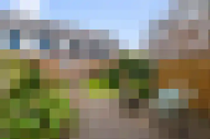 Spirealaan 8 Sint Pancras thumbnail 27