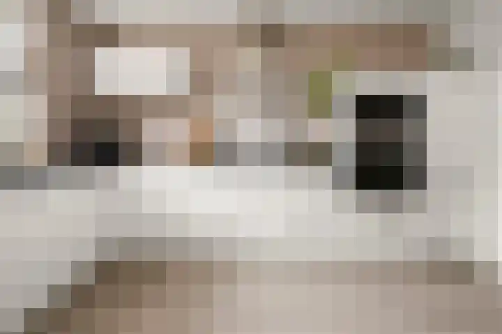 Spirealaan 8 Sint Pancras thumbnail 5