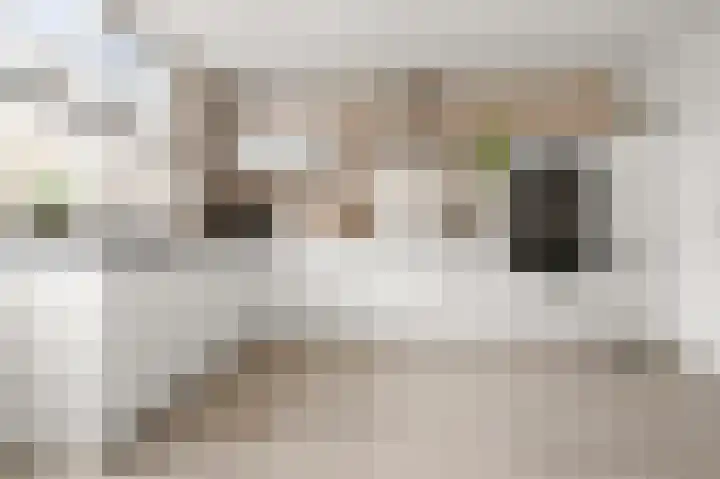 Spirealaan 8 Sint Pancras thumbnail 6