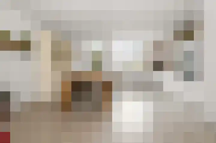 Spirealaan 8 Sint Pancras thumbnail 7