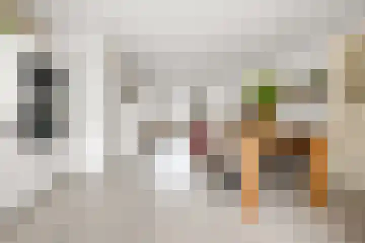 Spirealaan 8 Sint Pancras thumbnail 8