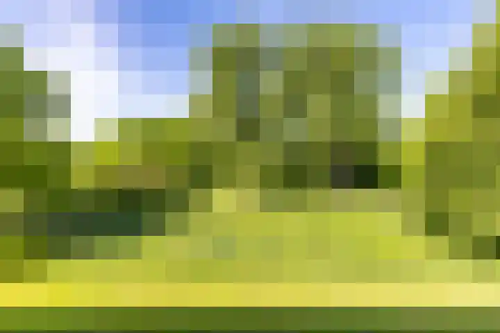 Spirealaan 80 Groningen thumbnail 18