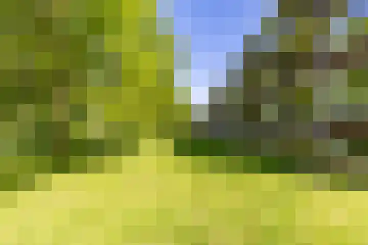 Spirealaan 80 Groningen thumbnail 24