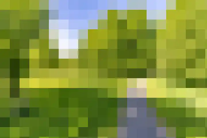 Spirealaan 80 Groningen thumbnail 25
