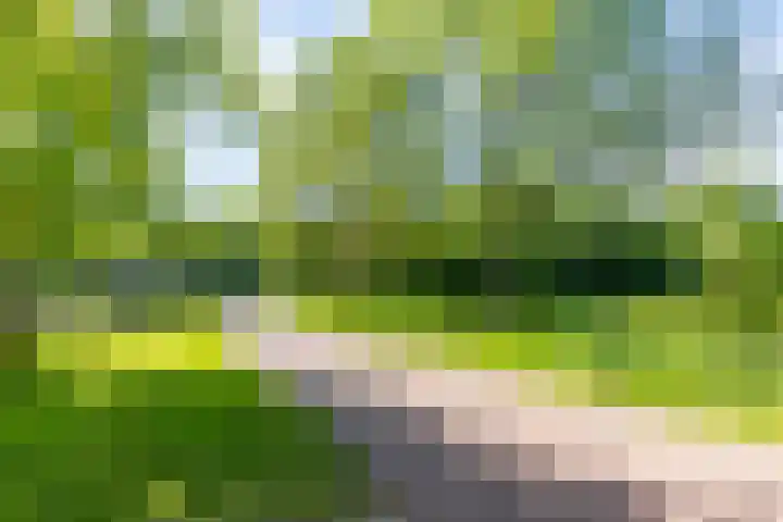Spirealaan 80 Groningen thumbnail 26