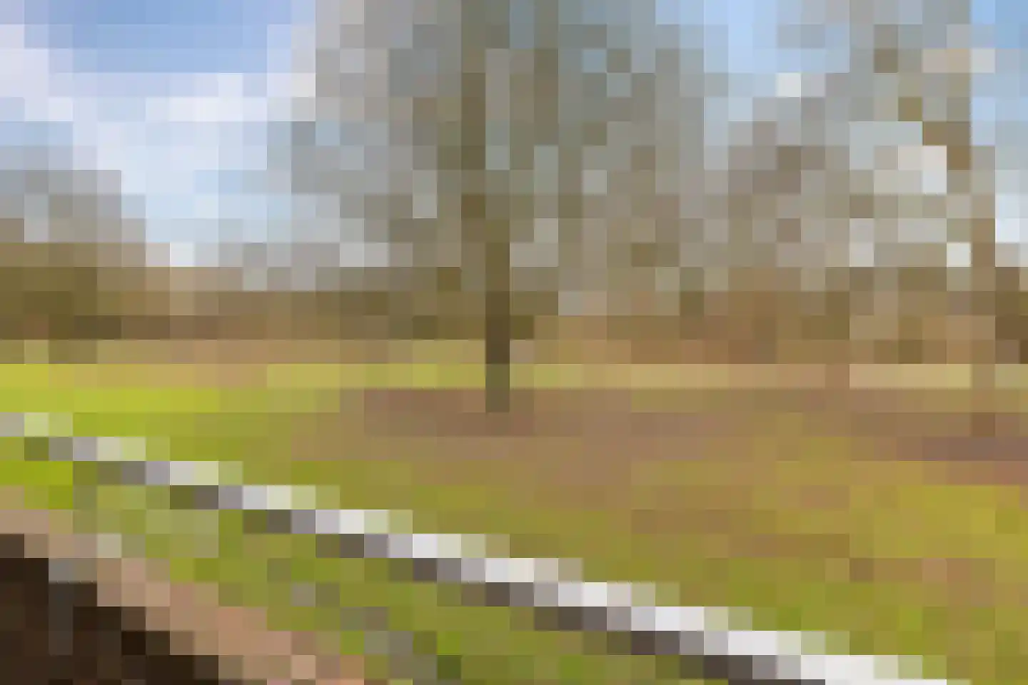 Spirealaan 98 Groningen thumbnail 32