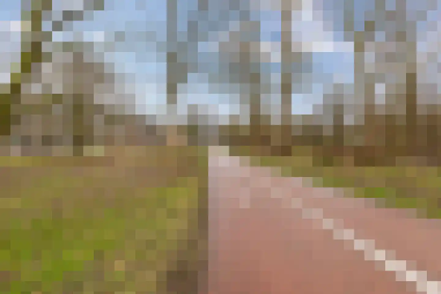 Spirealaan 98 Groningen thumbnail 37