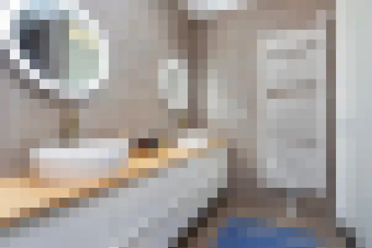 Spireastraat 3 Rotterdam thumbnail 21