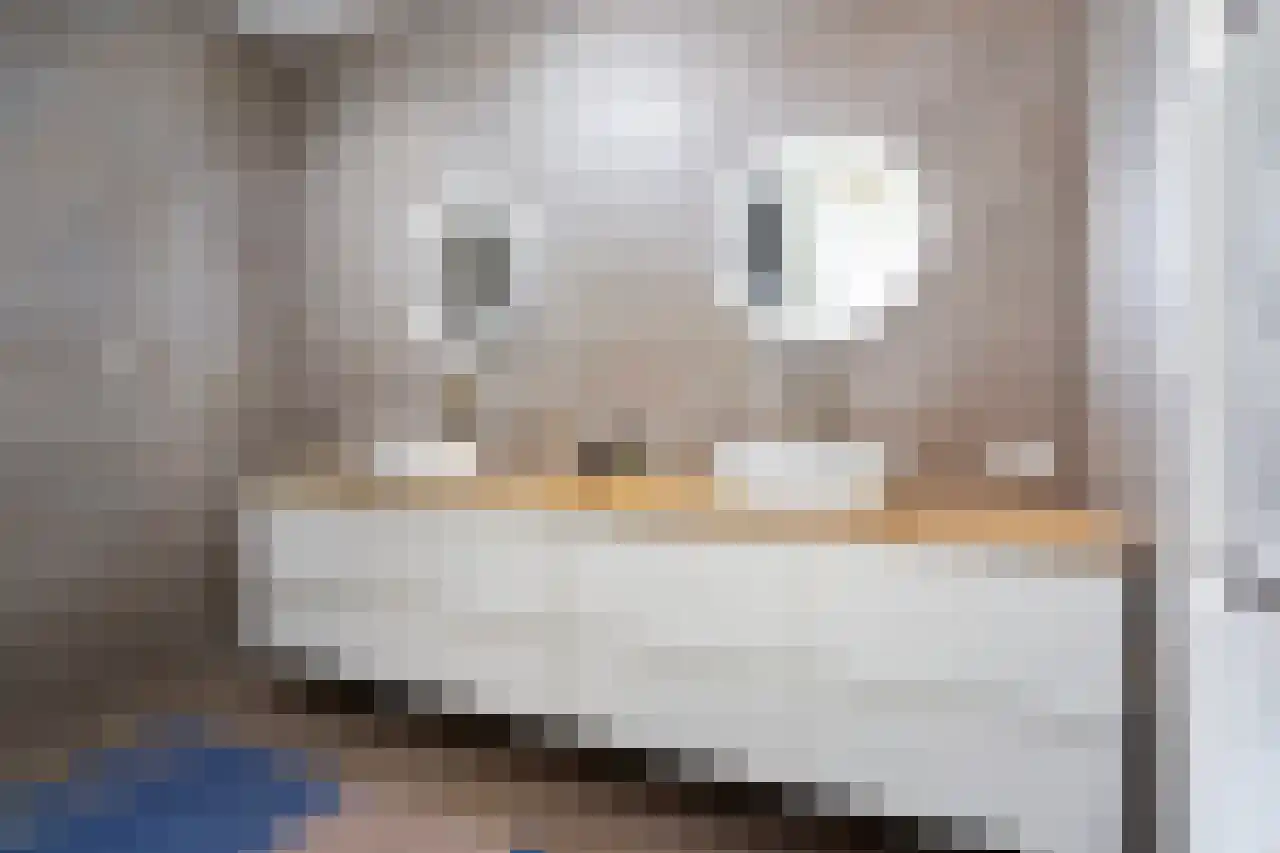 Spireastraat 3 Rotterdam thumbnail 22