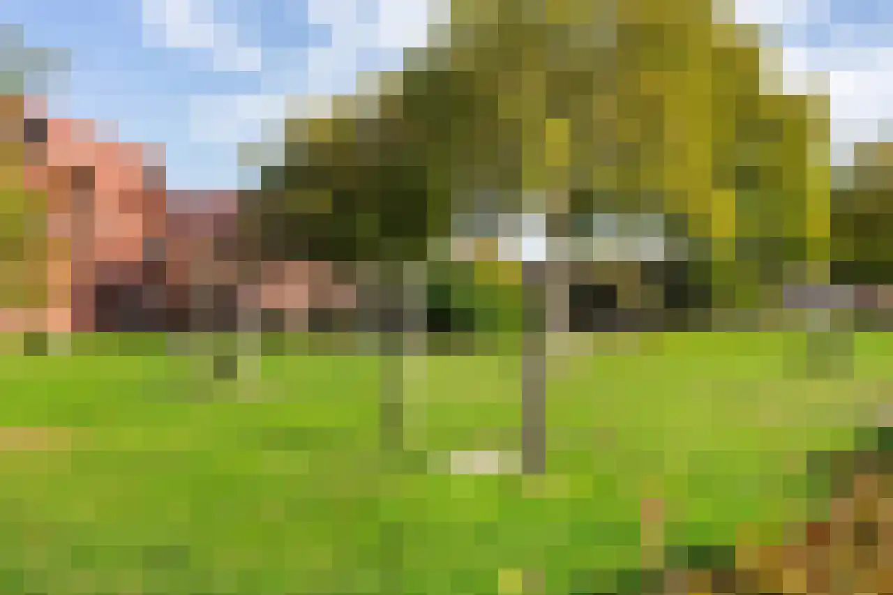 Spireastraat 3 Rotterdam thumbnail 30
