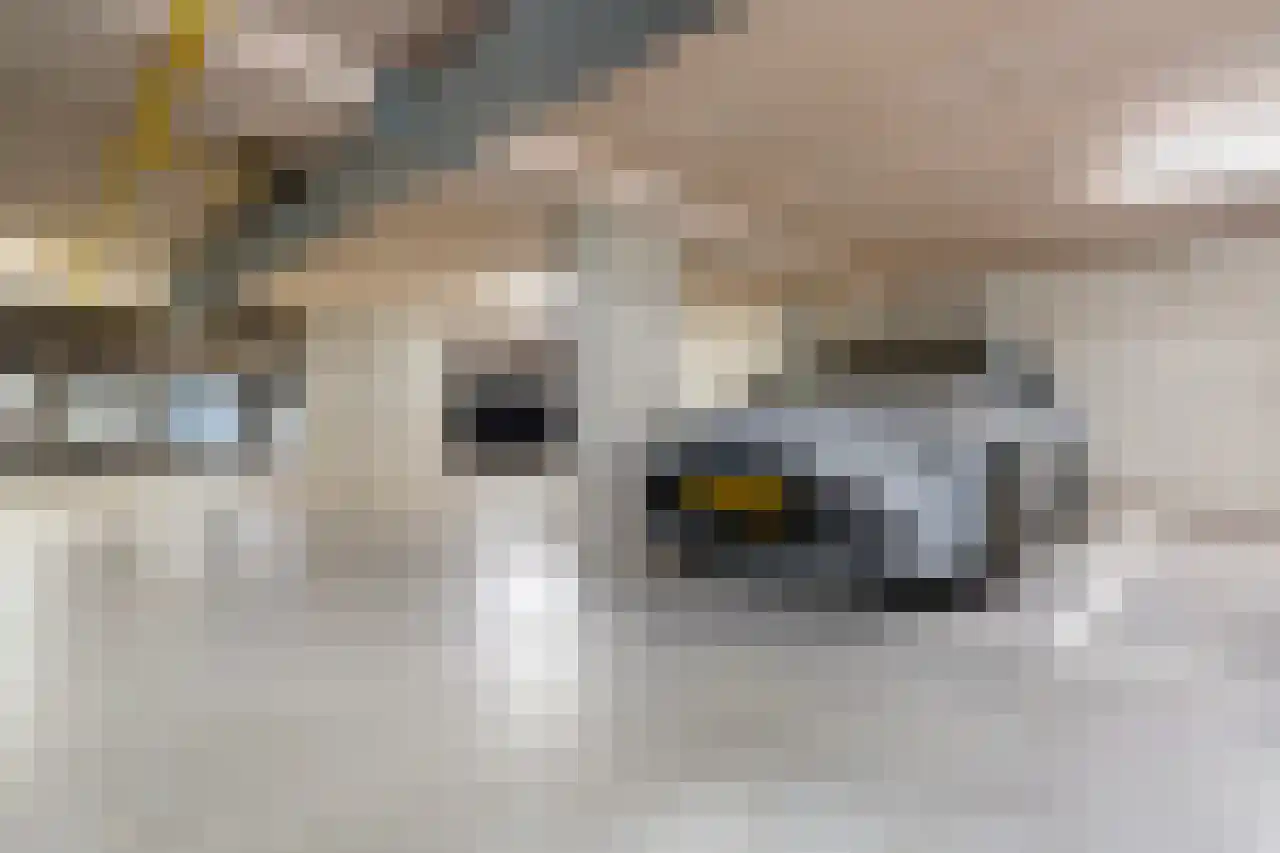 Spireastraat 3 Rotterdam thumbnail 32