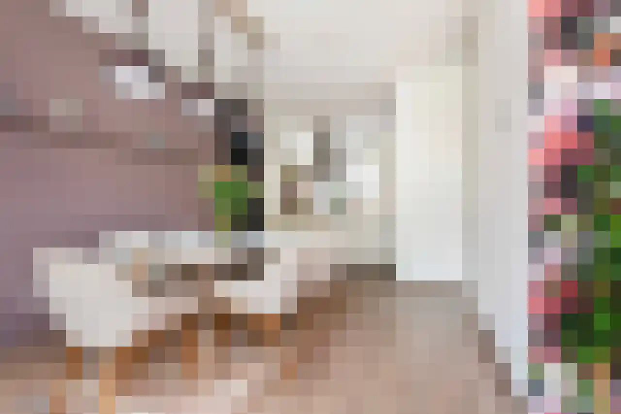Spireastraat 3 Rotterdam thumbnail 8