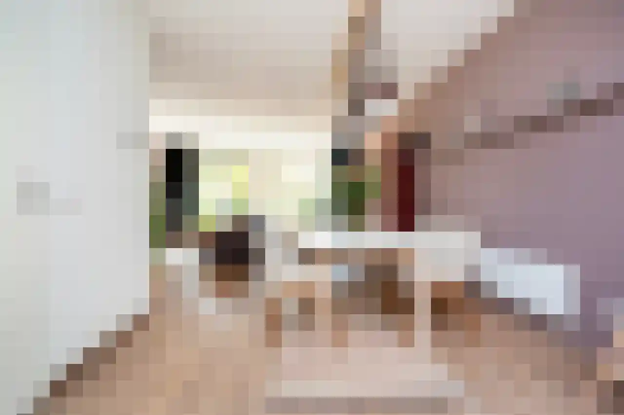 Spireastraat 3 Rotterdam thumbnail 9