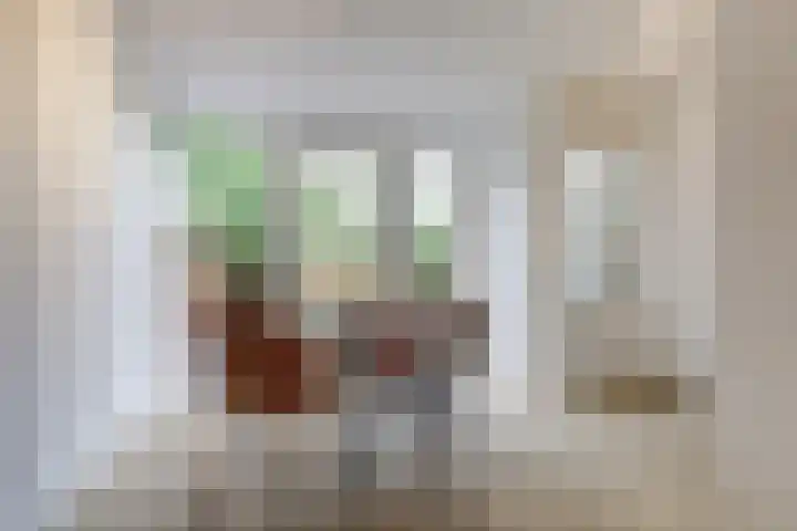 Spireastraat 31 Venlo thumbnail 11