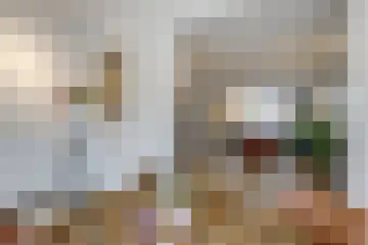 Spireastraat 31 Venlo thumbnail 12
