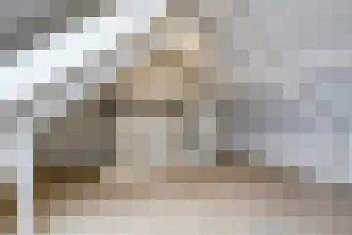 Spireastraat 31 Venlo thumbnail 22