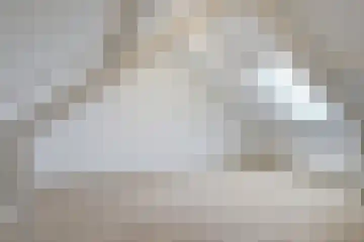 Spireastraat 31 Venlo thumbnail 23