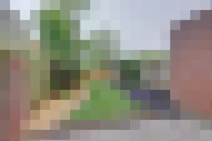 Spireastraat 31 Venlo thumbnail 24